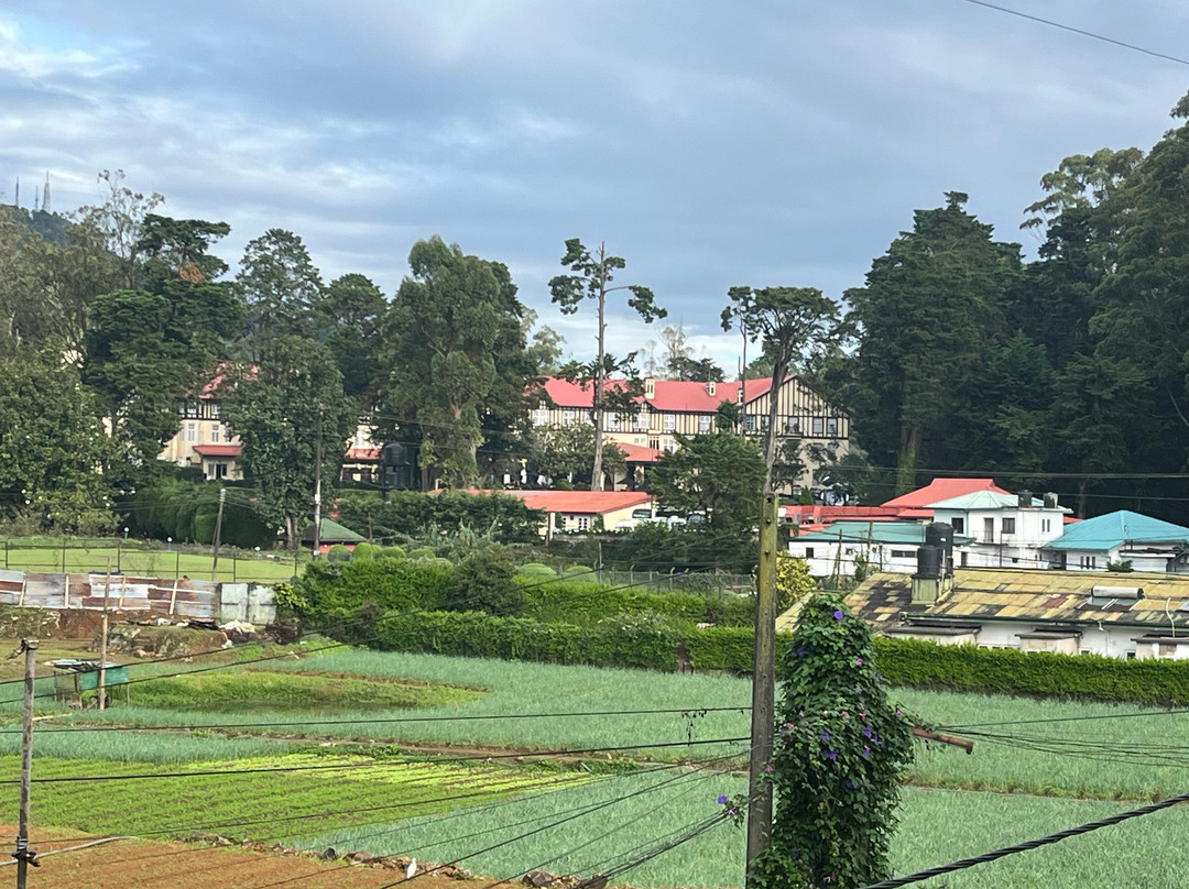BH Lanka Tours-Kurunegala必去景点