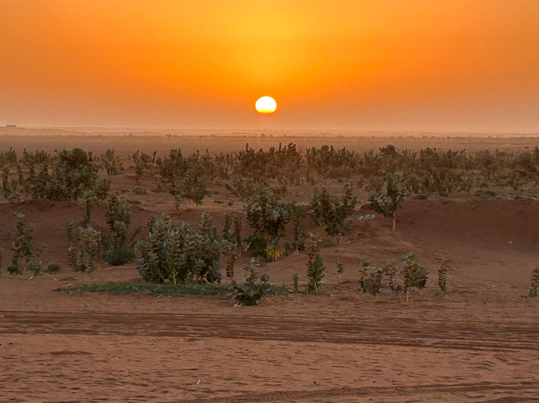 Loud Sahara Day Tours-扎古拉必去景点