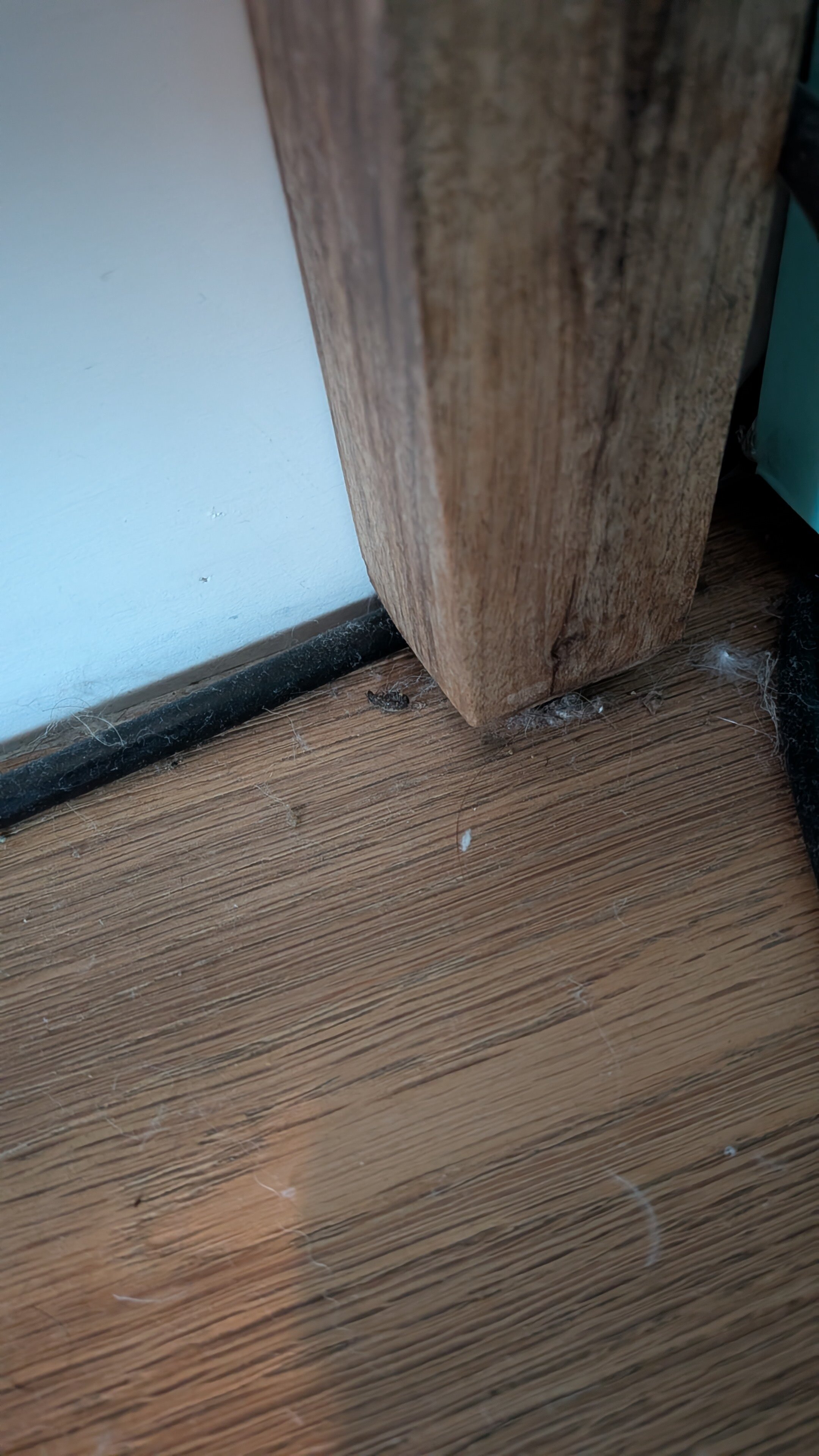 草地鹨酒店-官方