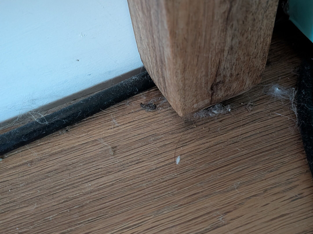 草地鹨酒店主图