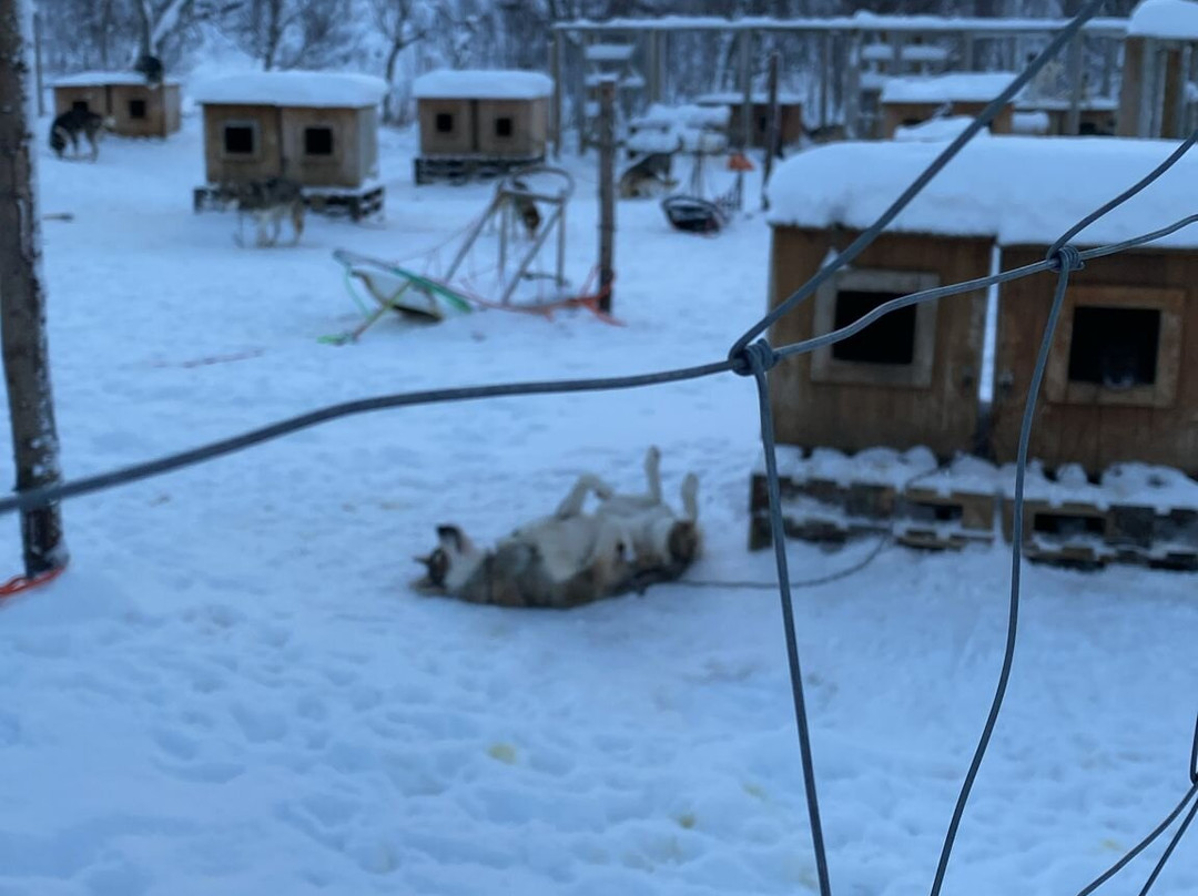 Nordland Adventures-博多必去景点