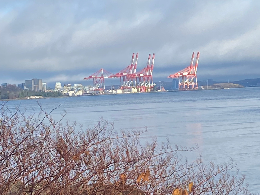 望海住宿加早餐旅馆主图