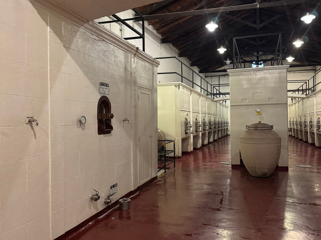 Bodega Norton-路冉得库约必去景点