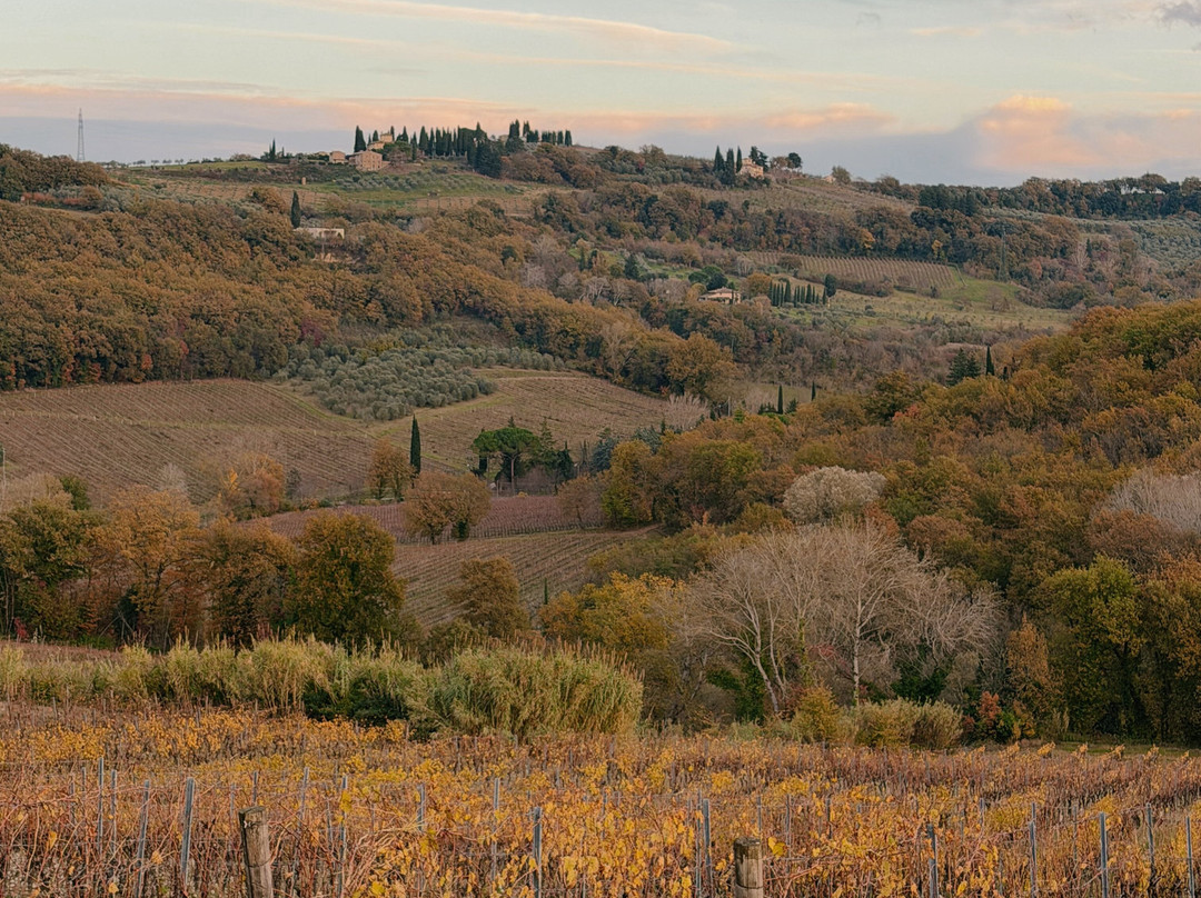 Toscana by Bike-蒙特斯佩托利必去景点