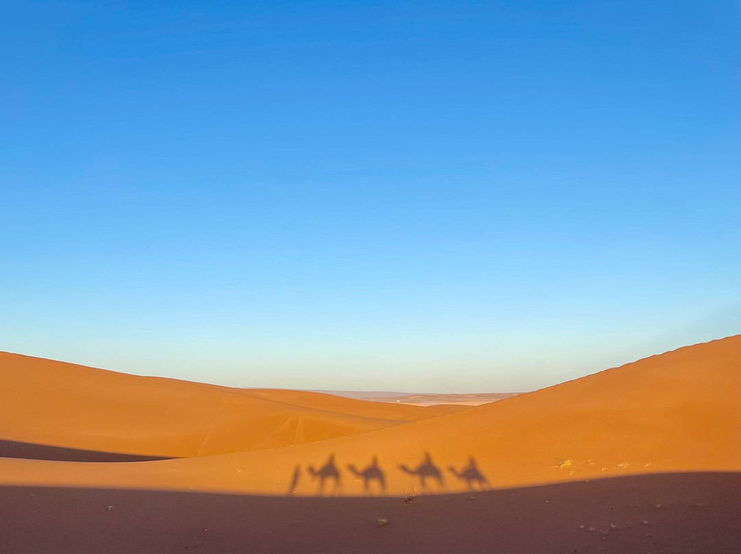 Loud Sahara Day Tours-扎古拉必去景点