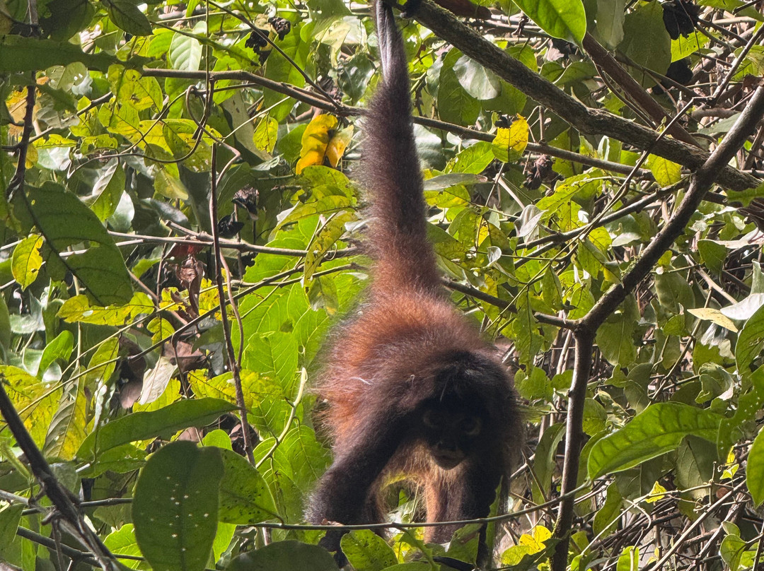 Sukia Travel-德雷克湾必去景点