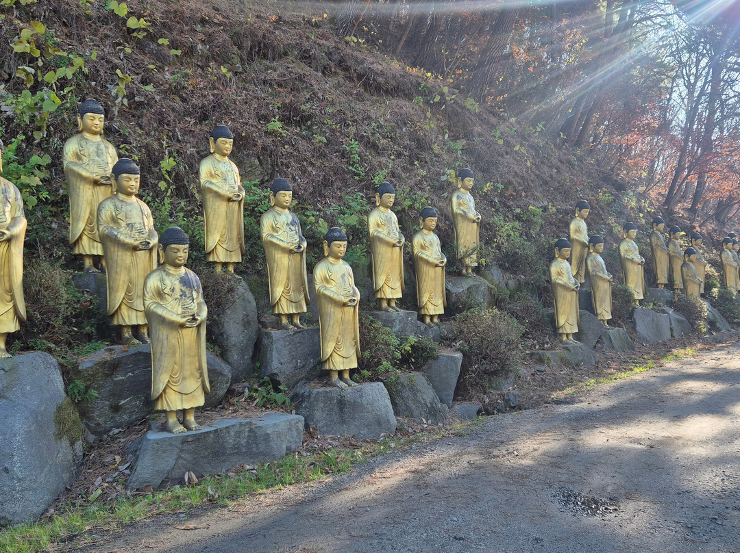 Miamsa Temple-扶余郡必去景点