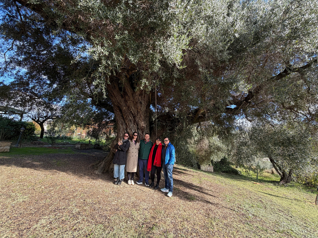 Italian Cooking Class and Olive Tour Experience-罗马必去景点