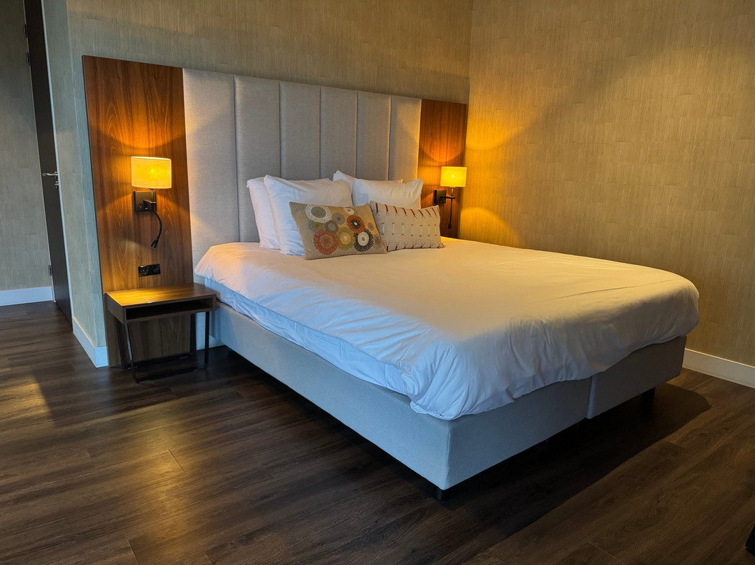 Burgh-Haamstede酒店住宿-泰尔山翰悦阁酒店