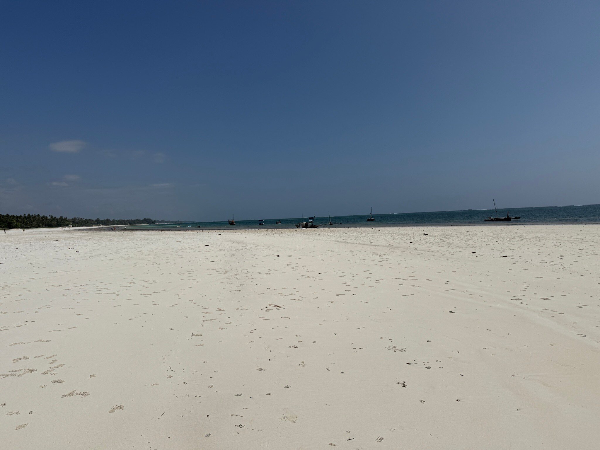 Neptune Paradise Beach Resort & Spa-官方