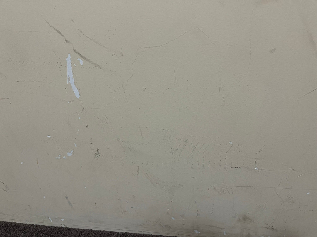 巴瑟尔顿博丹B＆B酒店主图