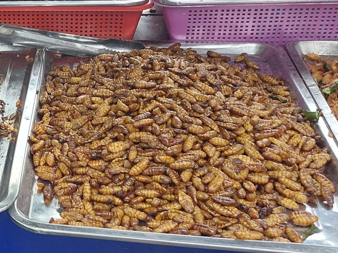 Asiatica Travel-河内必去景点