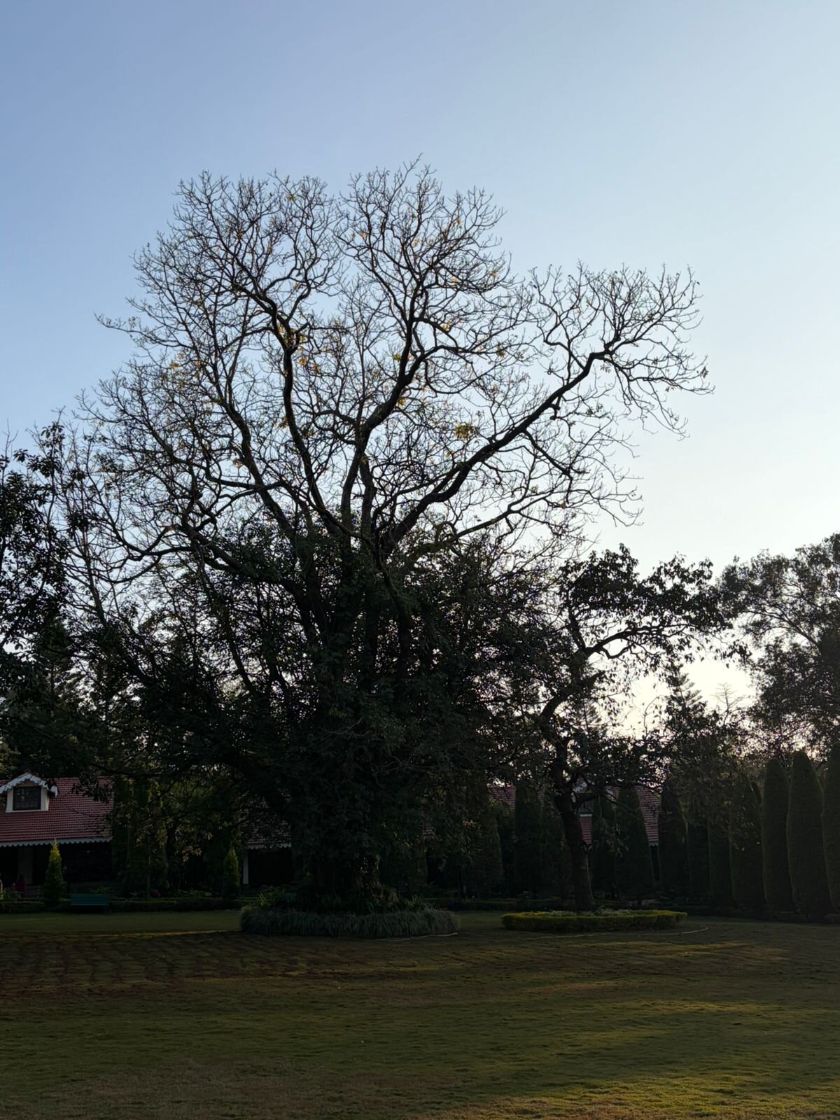 WelcomHeritage Golf View-酒店景观