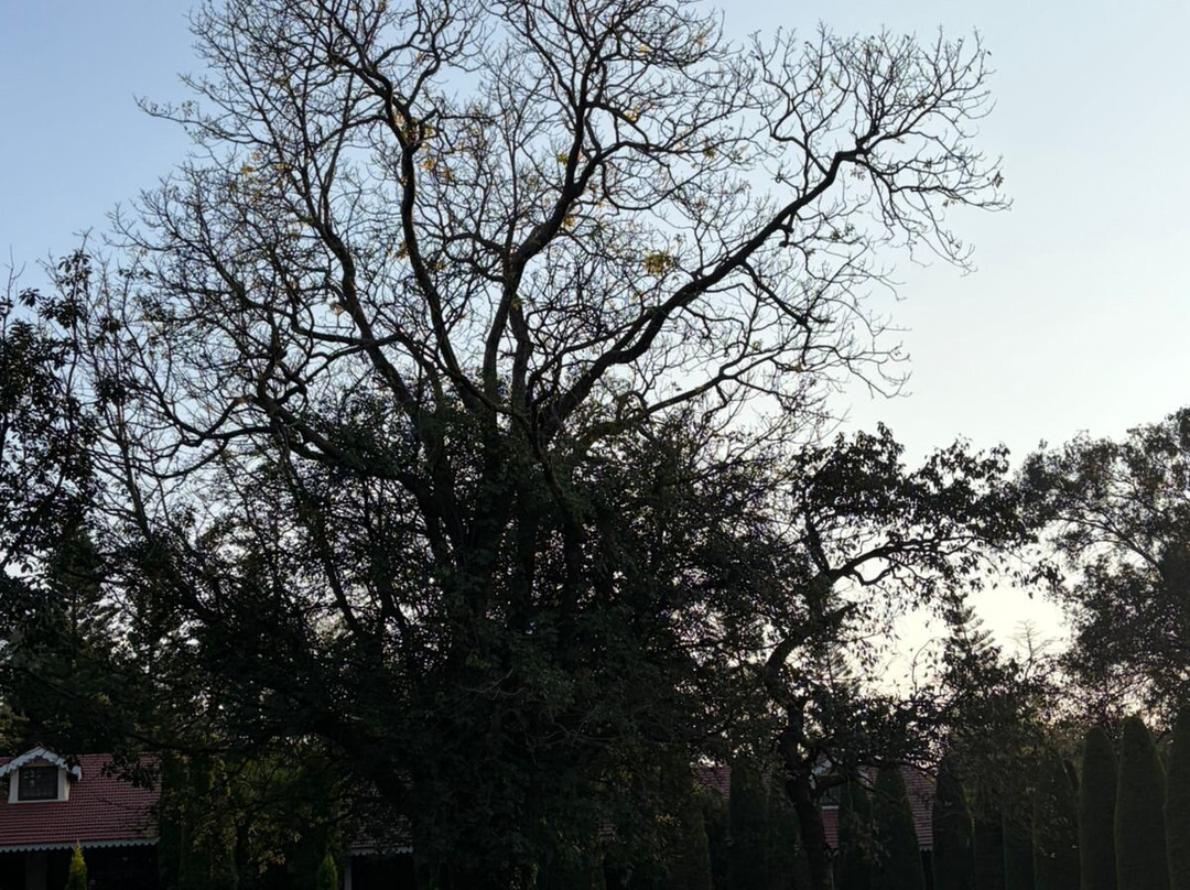 WelcomHeritage Golf View主图