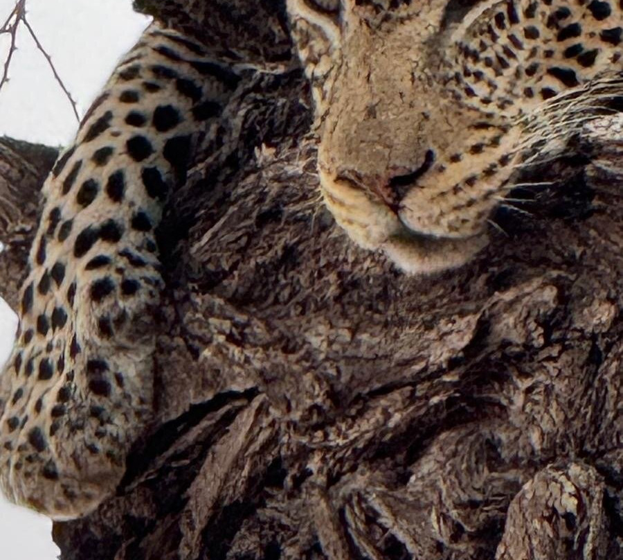 Altezza Travel-莫西必去景点