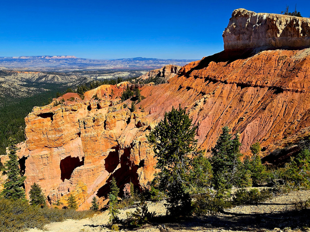 Rainbow Point-布莱斯峡谷国家公园必去景点