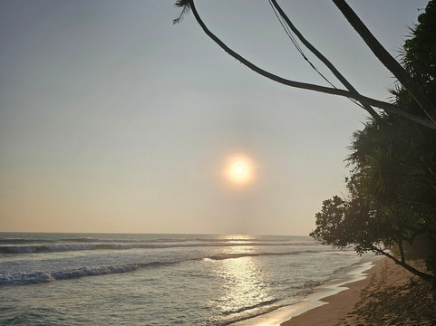 Sri Lanka Tourist Driver-Gampaha必去景点