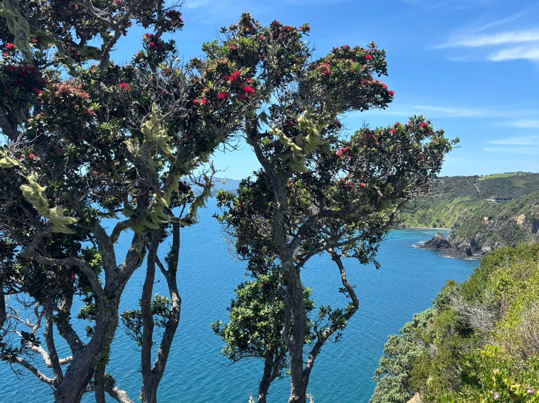 Tapeka Point Track-拉塞尔必去景点