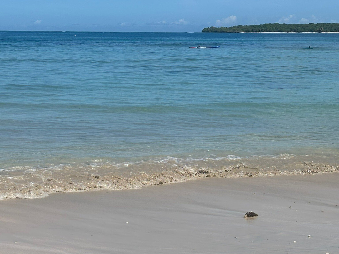 Taufiq's Transfers And Tours-纳迪市必去景点