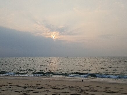 Marari Arattukulam Haven Homestay-官方