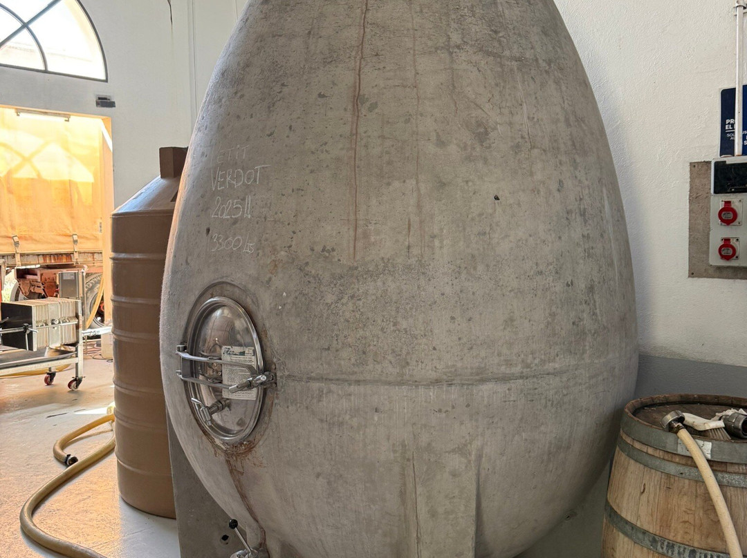 Bodega CarinaE-Maipu必去景点