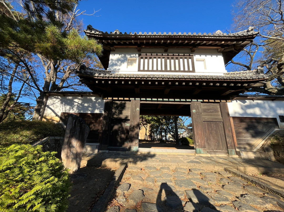 Kamejo Park-土浦市必去景点