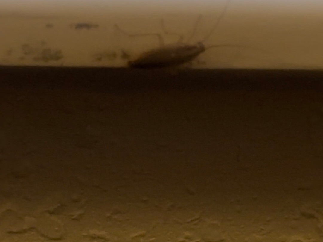 Baymont by Wyndham Auburn主图