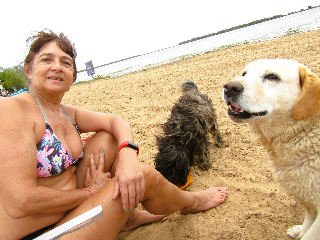 Playa Pública Vuelta De Obligado