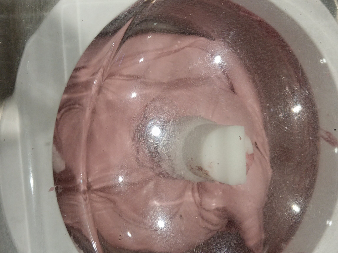 RistoPizza PaniCunzatu主图