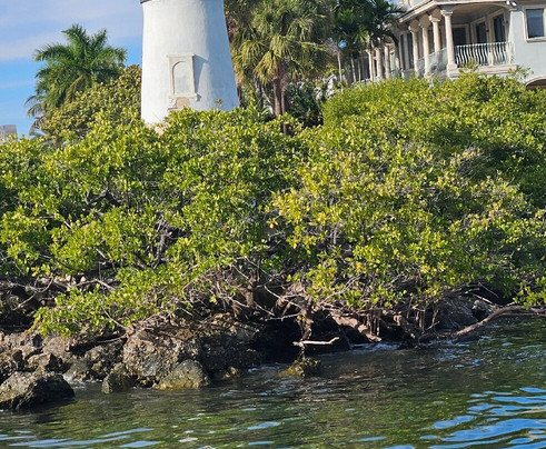 Pirate Water Taxi-坦帕必去景点