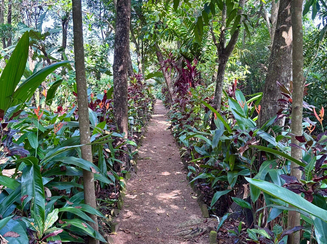 Green Palm Homes主图