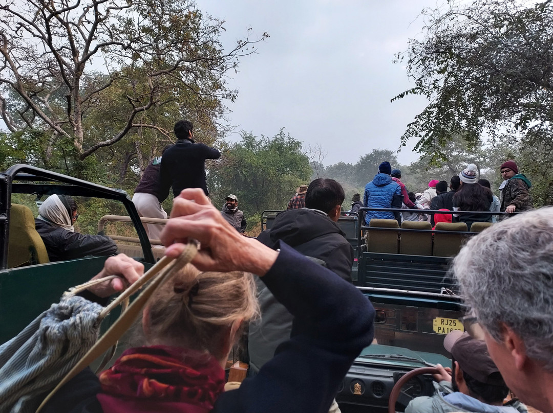 Ranthambore National Park-Ranthambore National Park必去景点