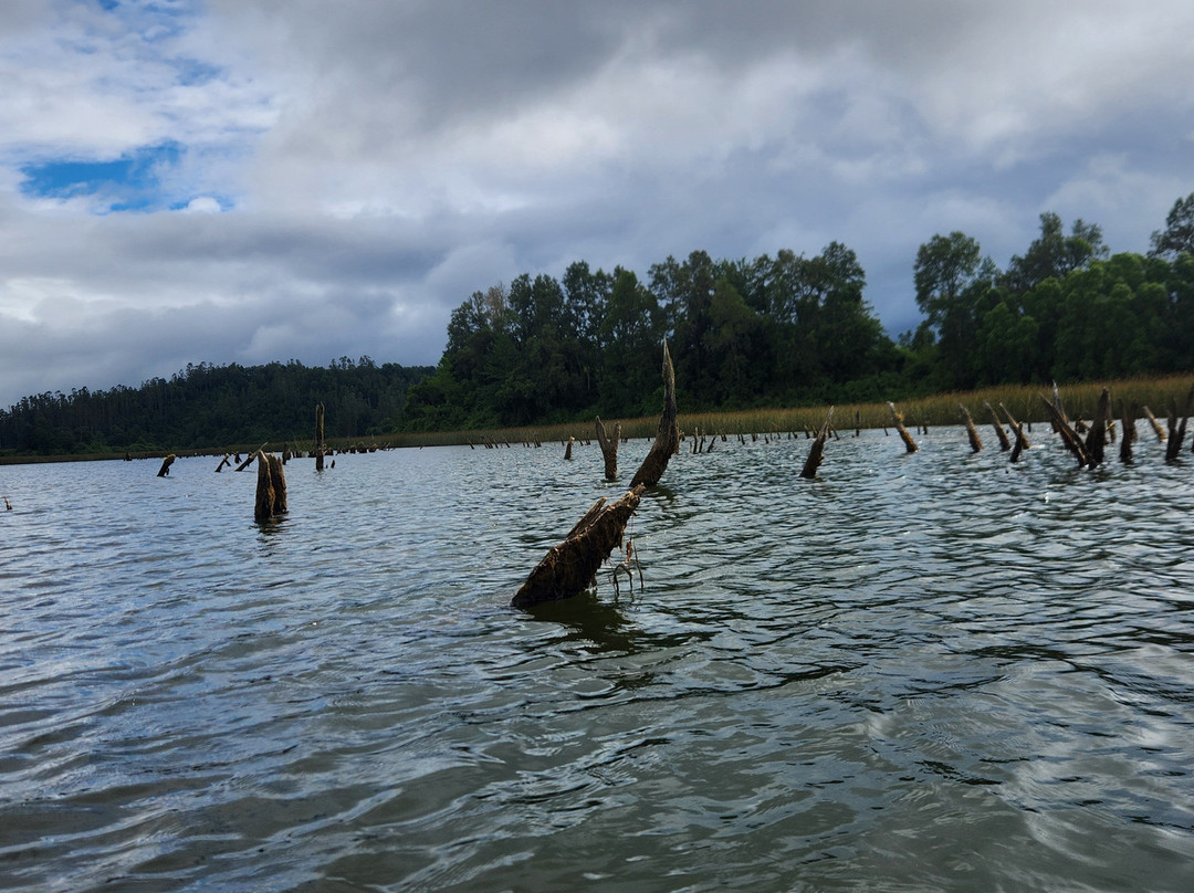 Rio Vivo-瓦尔迪维亚必去景点