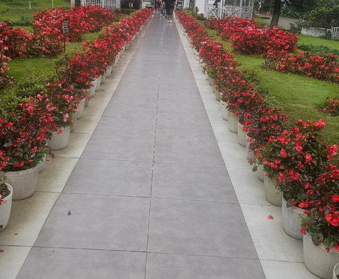 Florawisata Santerra De Laponte-玛琅必去景点