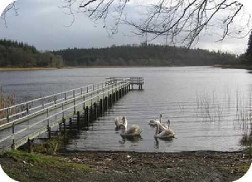 DawnMeadow Bed & Breakfast主图