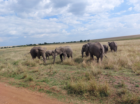 Journeys Beyond Africa-内罗毕必去景点