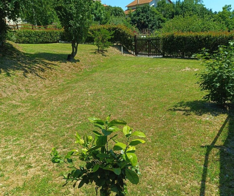 LA TANA DELLA VOLPETTA - Bed & Breakfast