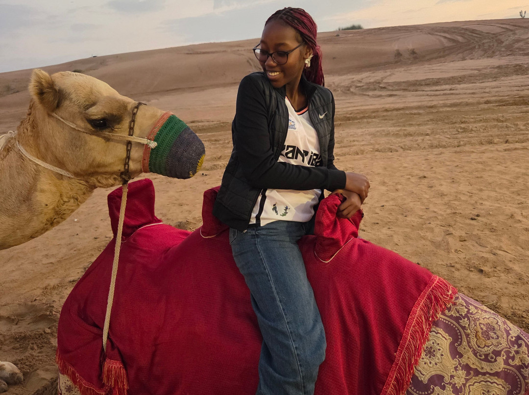 Lead Adventure Tour-迪拜必去景点