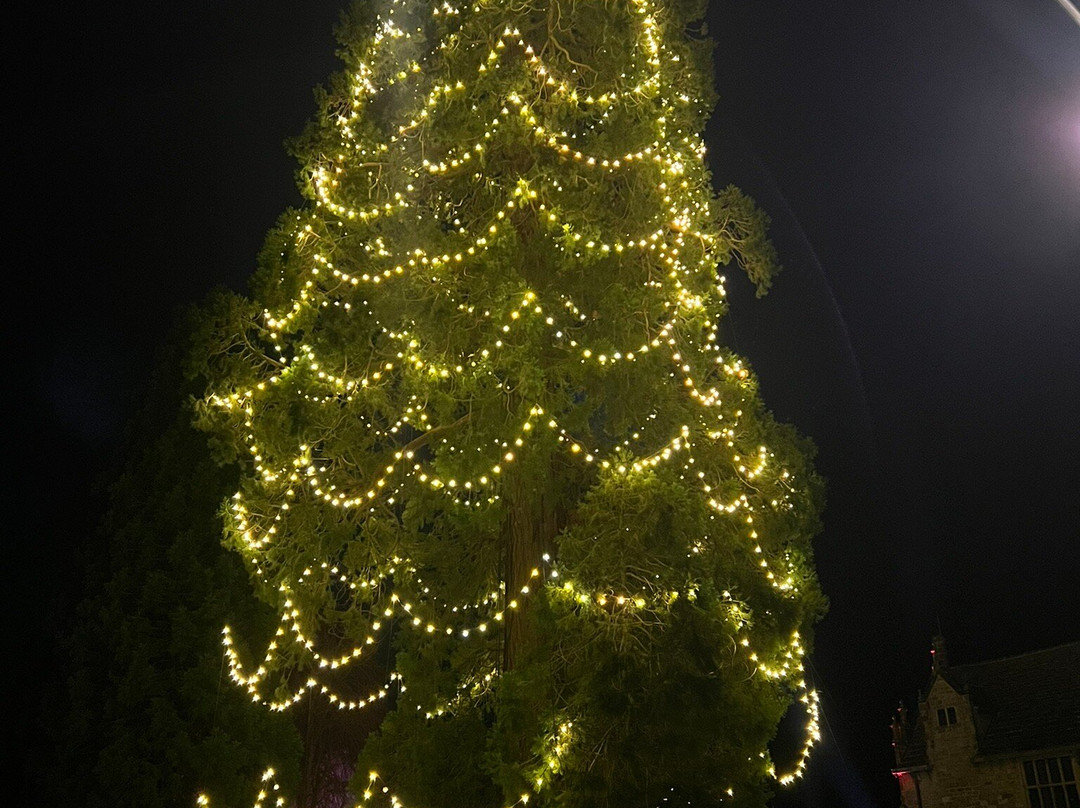 Wakehurst-Haywards Heath必去景点