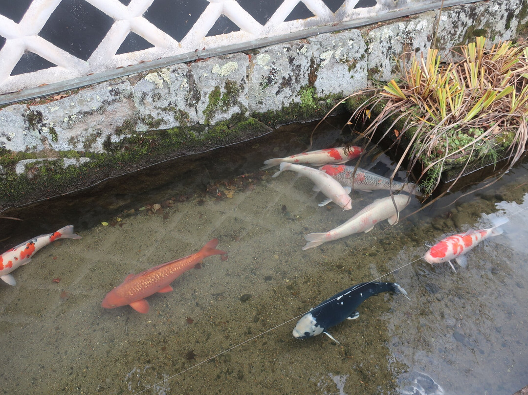 Tonomachi Street-津和野町必去景点