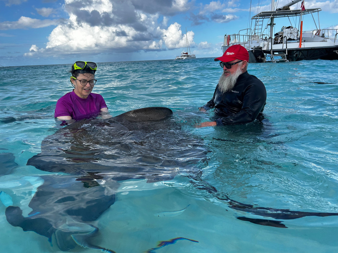 Stingray Sailing-大开曼岛必去景点