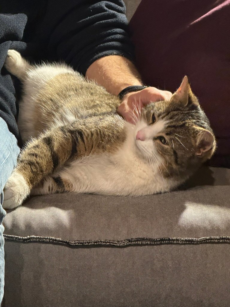 Montanema Handmade Village-官方