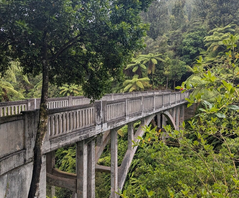 Bridge To Nowhere Tours-旺加努伊必去景点