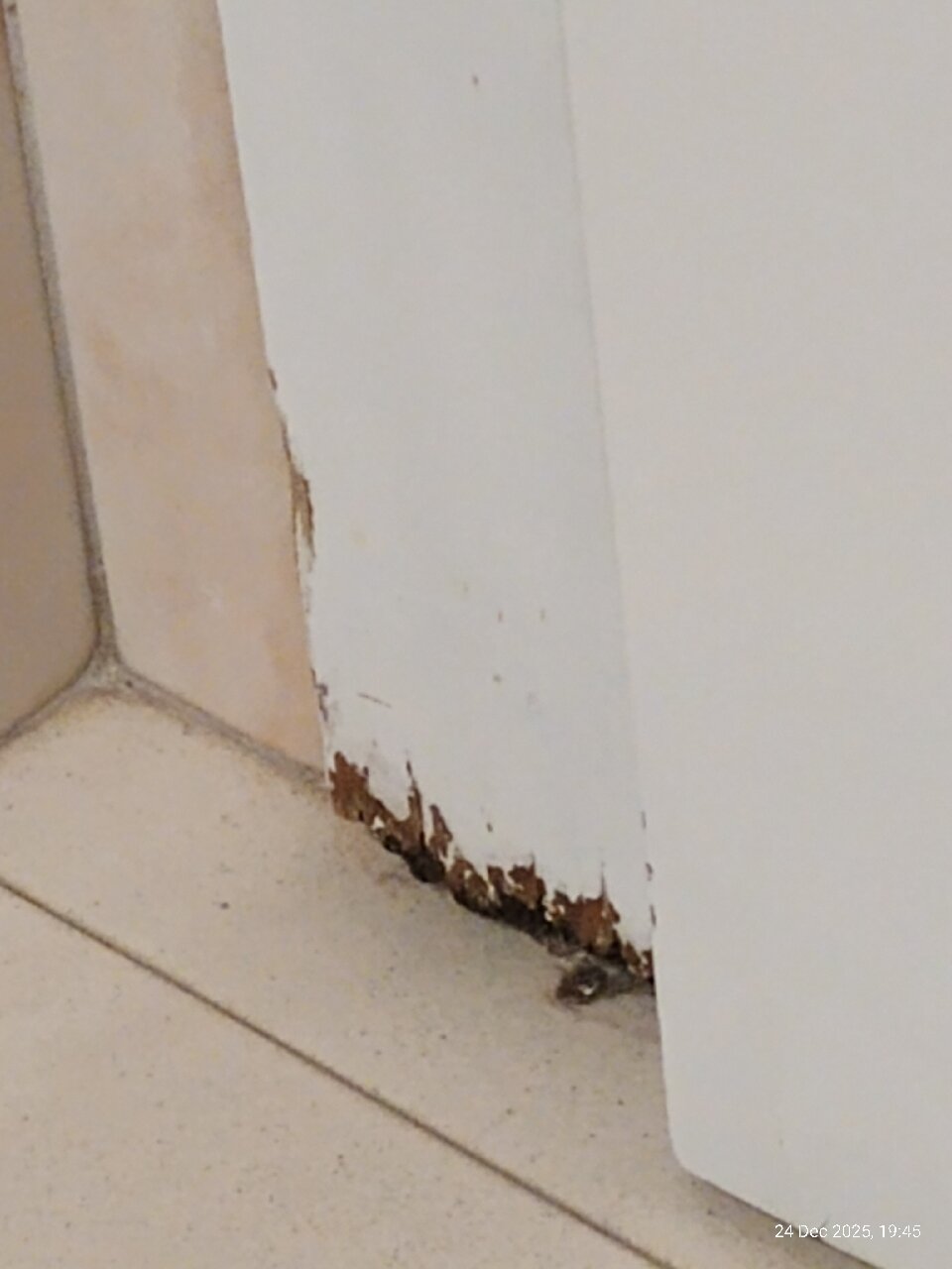 邓恩米拉多尔马斯帕洛马斯-官方