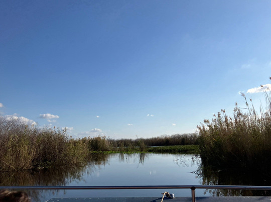 Black Hammock Adventures-Oviedo必去景点