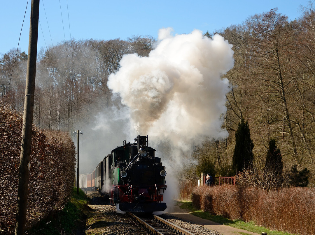 Löeßnitzgrundbahn-莫里茨堡必去景点