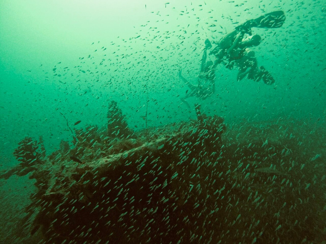 Diving Bluetribe Moofushi-南阿里环礁必去景点