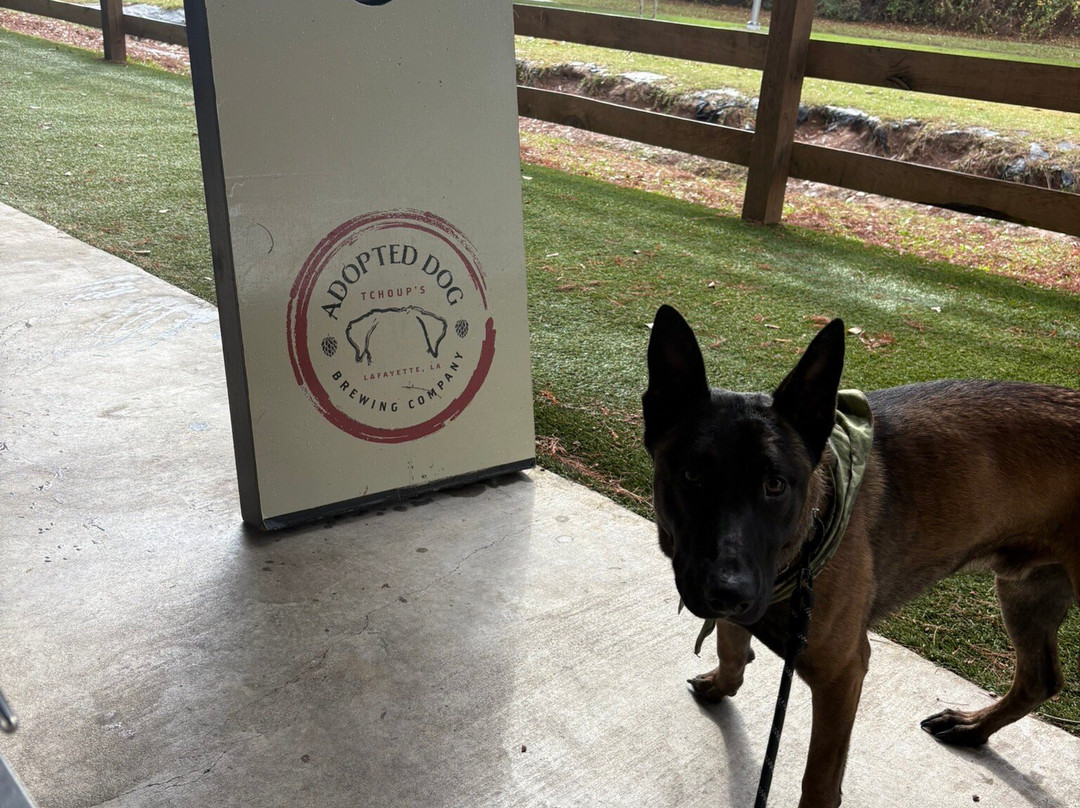 Adopted Dog Brewing-拉法叶必去景点