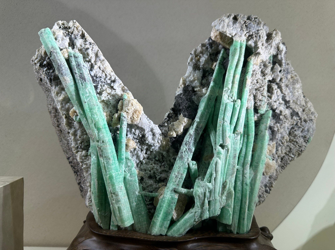 安徽省地质博物馆-合肥市必去景点