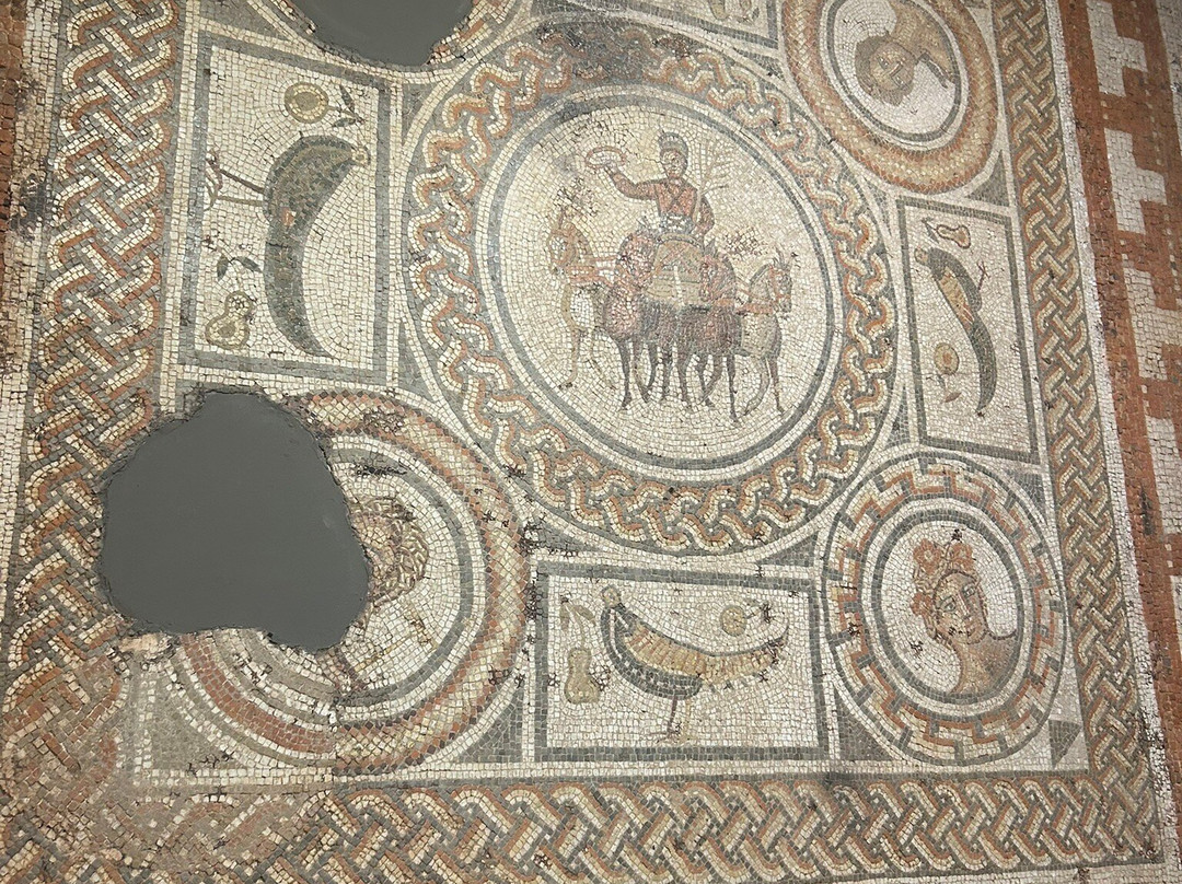 Hull & East Riding Museum of Archaeology-赫尔河畔金斯顿必去景点